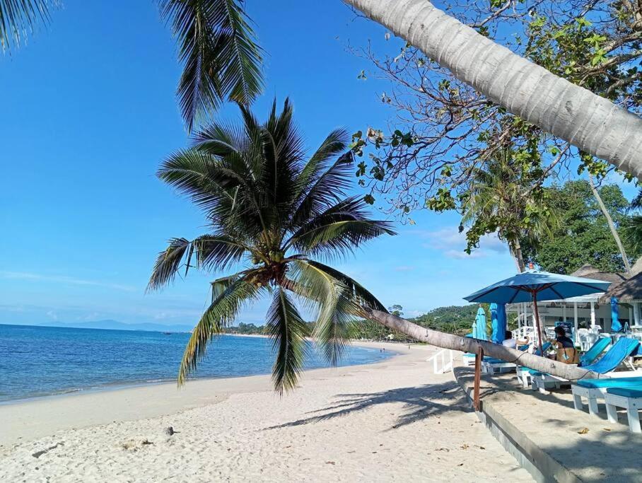 Pousada Chacha A Lamai Beach (Koh Samui)